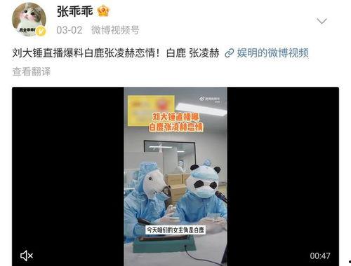 吃瓜爆料白鹿张凌赫,吃瓜群众热议娱乐圈新恋情